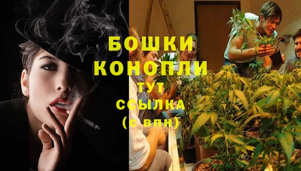 шишки Верхнеуральск