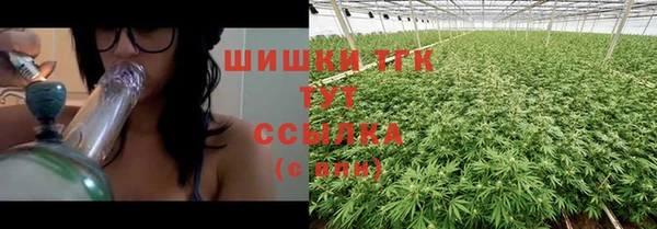 ПСИЛОЦИБИНОВЫЕ ГРИБЫ Верея
